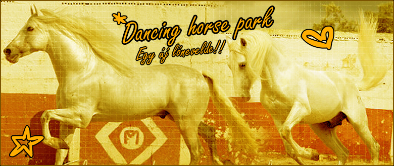 Dancing horse park-legjobbat a legjobbaknak